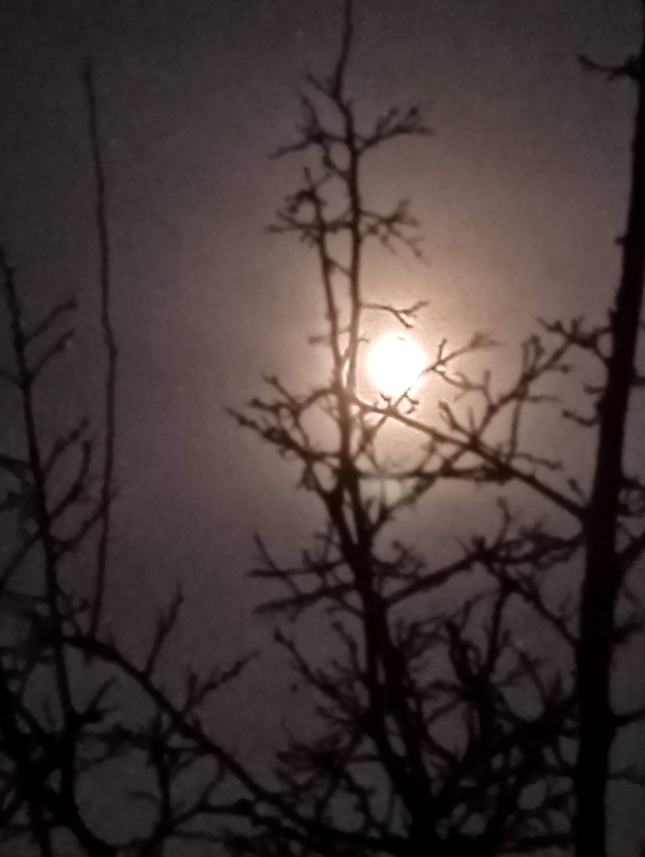 Снежная луна