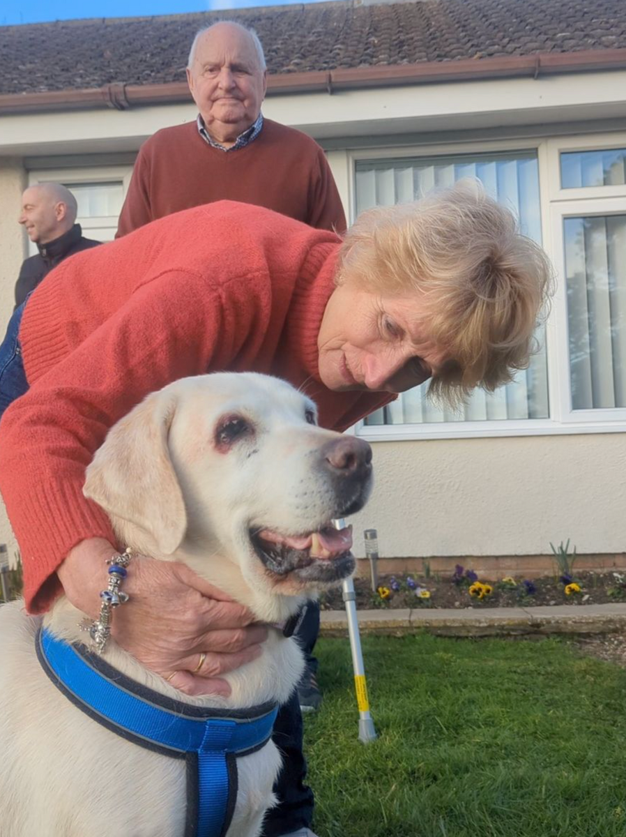 Старушка Дейзи вернулась домой