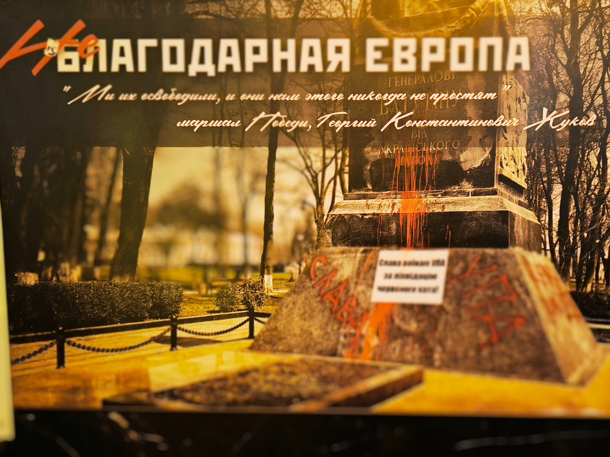 Фото автора.