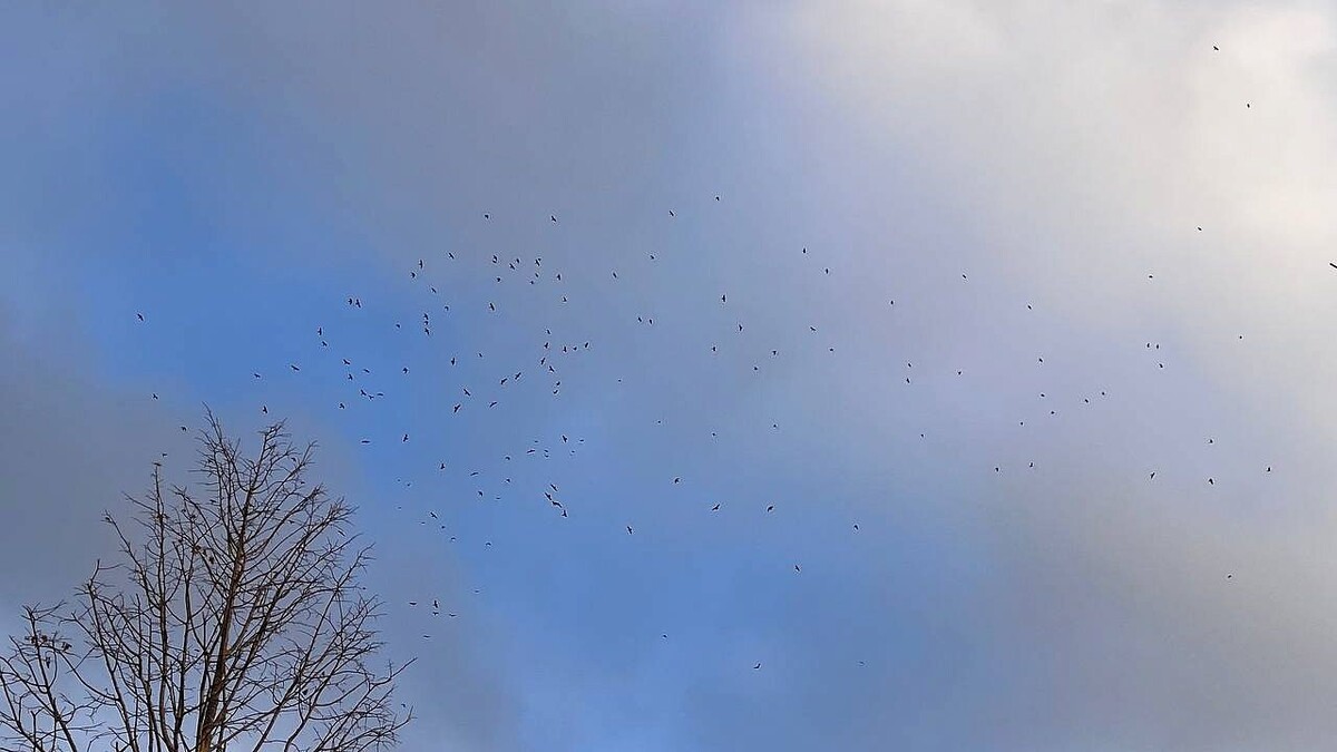    Фото: телеканал «Краснодар»