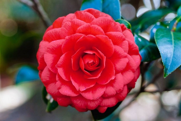 Фото: t.me/sirius_okrug