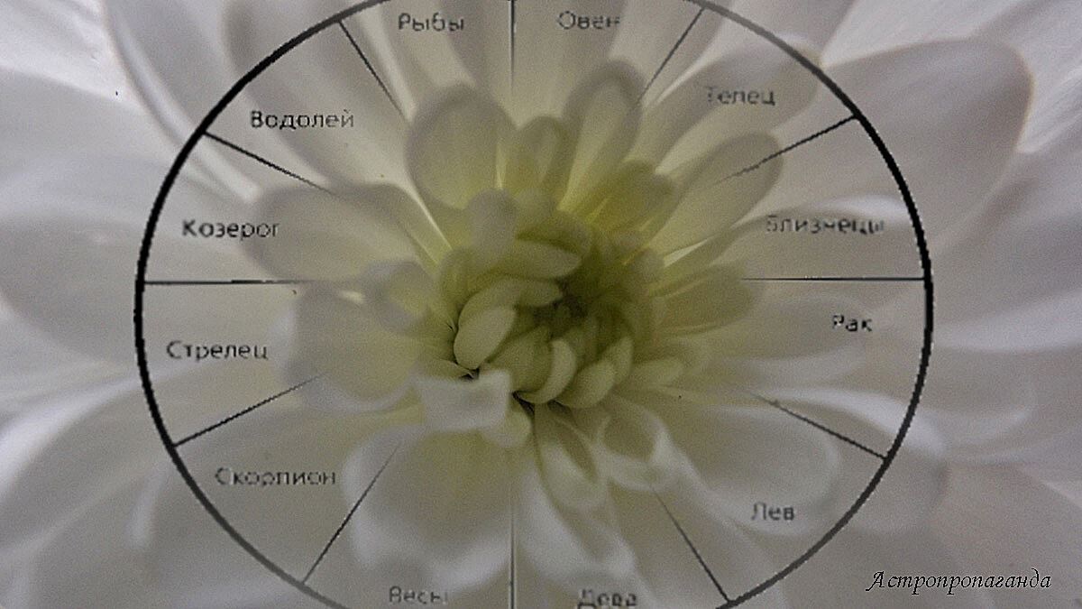 Гороскоп на неделю с 10 по 16 февраля 2025: непредсказуемый Уран и затаившийся Марс. 