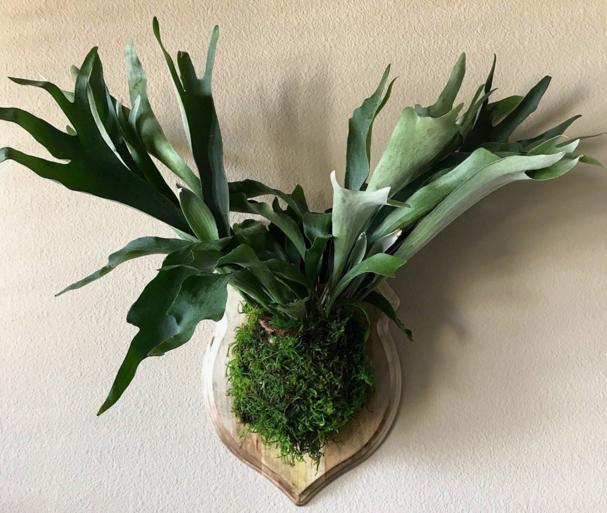 Источник фото: dzen.ru