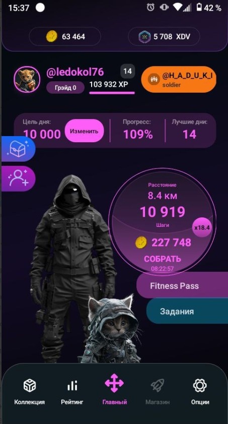 С котёнком сбор монет теперь пойдёт ещё быстрее. 