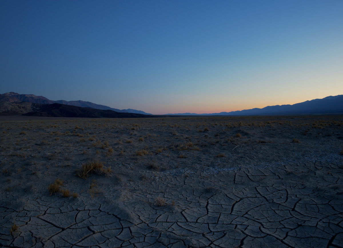 Photo by Steve Gribble on Unsplash