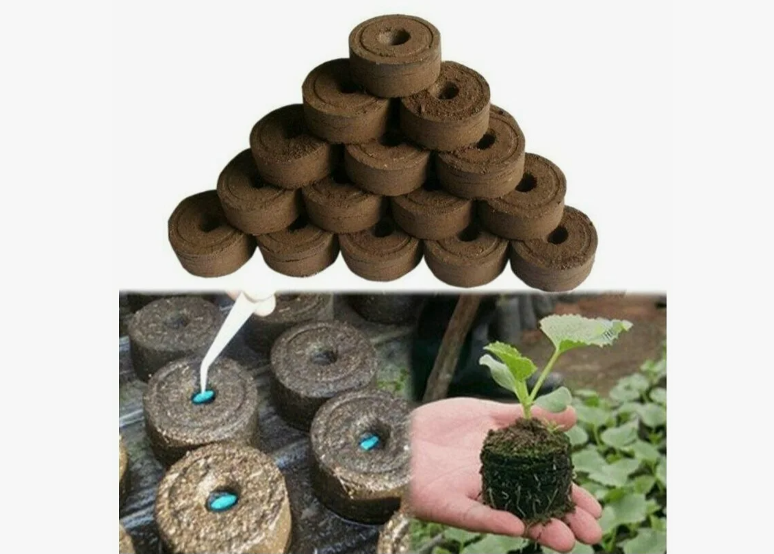 Фото взято из Соц. сетей