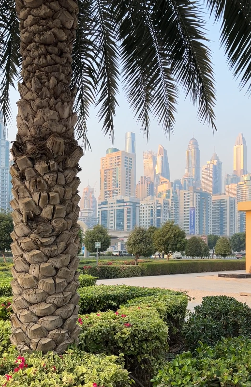 Самый центр Дубая. 