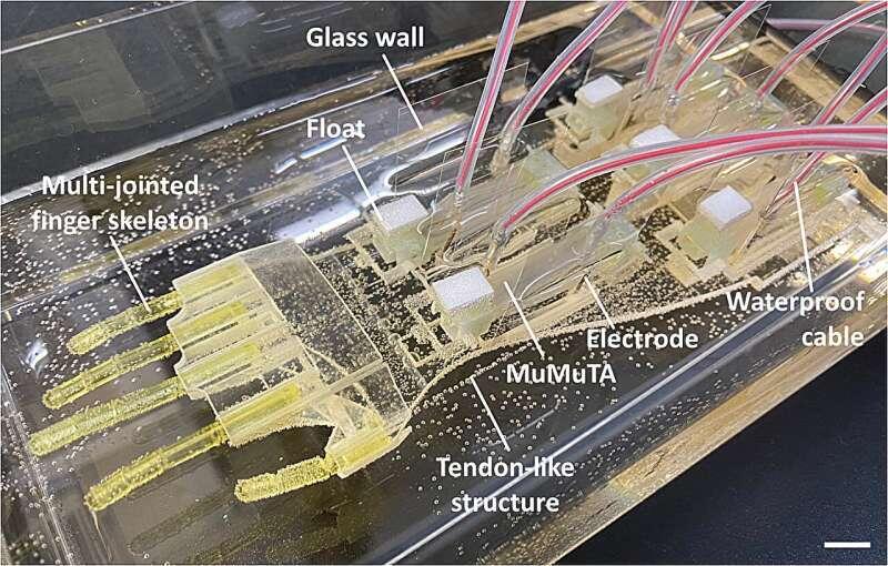    X. Ren, Y. Morimoto and S. Takeuchi,