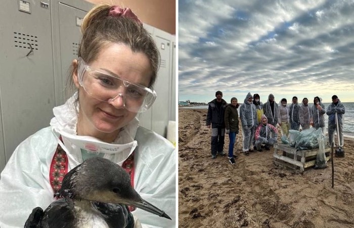 Волонтеры спасают птиц и очищают территории!