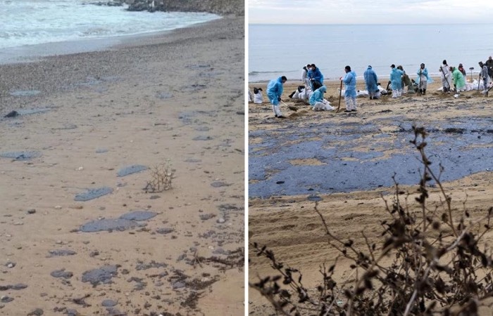 Президент считает, что для устранения проблемы сделали недостаточно!