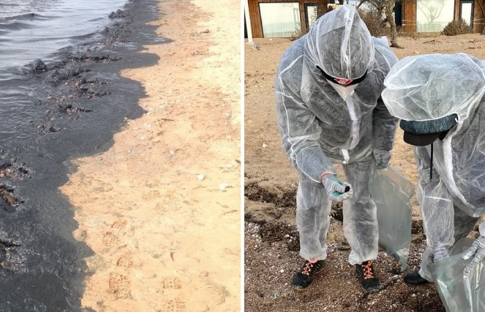 Экологическая катастрофа на побережье Анапы!