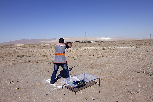    مسابقات تیراندازی به اهداف پروازی در شهر فرودگاهی قم Василий Соколов