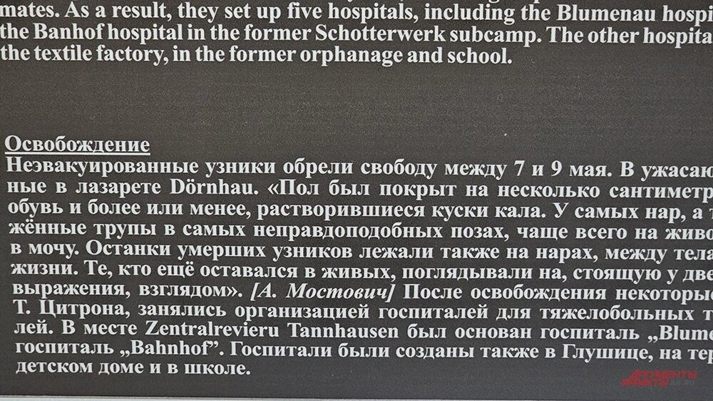    Фото:  АиФ/ Георгий Зотов