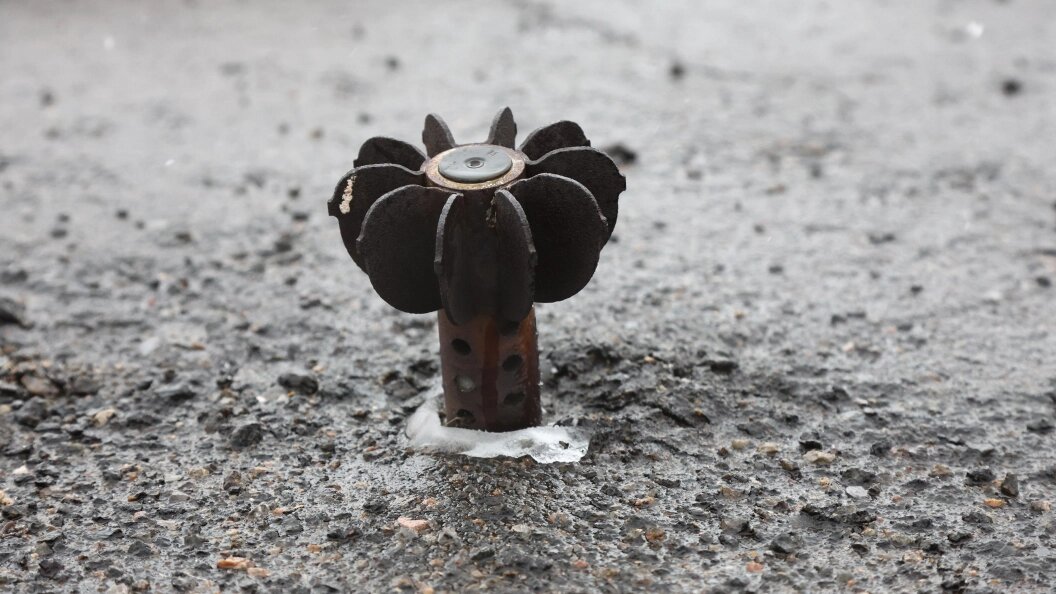    Фото: Shatokhina Natalya/Globallookpress