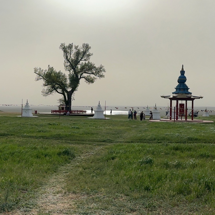 ОДИНОКИЙ ТОПОЛЬ - чудо природы или обычное дерево?
Недалеко от Элисты, близ поселка Хар-Булук ,среди степей гордо высится огромный тополь. Многие ,проходя мимо ,наверное и не обратили внимание,подумаешь ,мало ли деревьев . Но для Калмыков оно священное . Существует предание,что монах,вернувшись из своего долгого странствия ,в честь окончания пути , закопал свой посох и он пророс чудесным тополем! Сказки !! -скажете вы! Но обычная продолжительность жизни такого дерева 50-70 лет, а нашему «волшебному» УЖЕ БОЛЕЕ 150!! Разве это не чудо! Как бы там ни было,каждый верит в то,что хочет и мир у всех разный , но я счастлива быть в числе тех,кто прикоснулся к нему, значит ,нас много, тех людей ,кто верит в силу природы ,земли и всего живого в этом мире🧡 Я очень хочу,чтобы вы прочли эту статью до конца и записали координаты этого места в свою тетрадочку с мечтами .