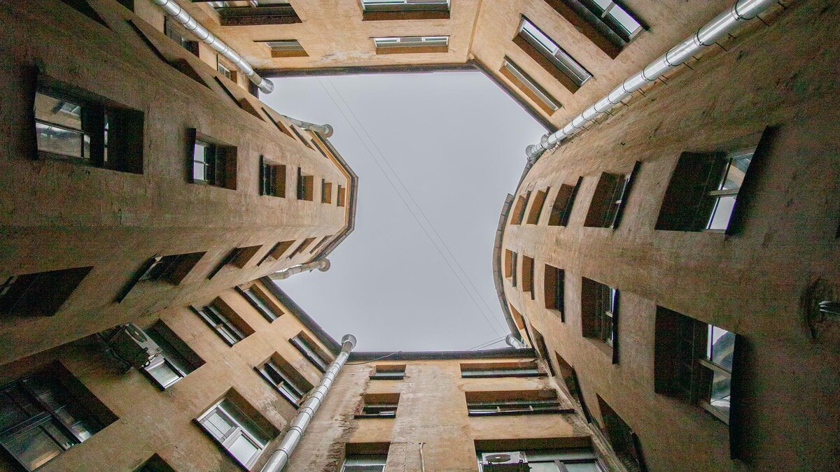    Фото: ИЗВЕСТИЯ/Телеканал «78»