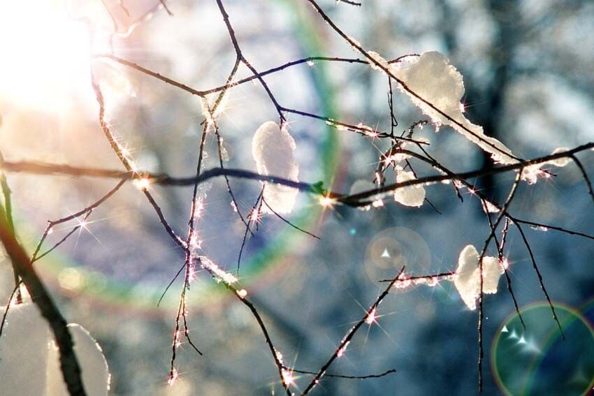 Яндекс.Картинки