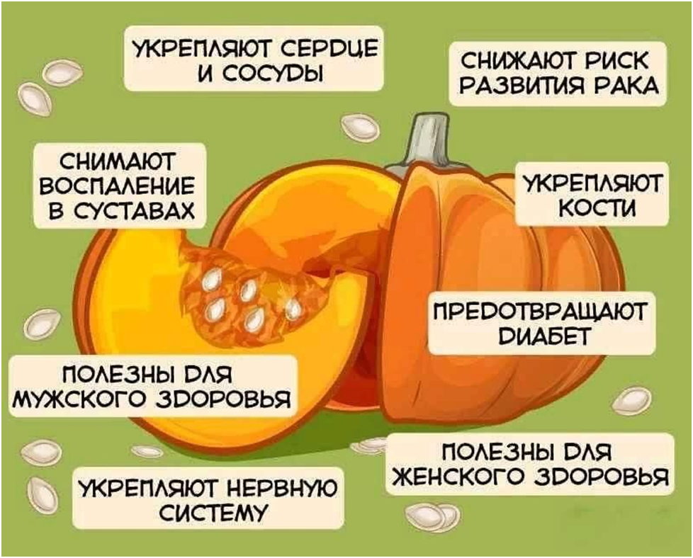 Польза тыквы для организма