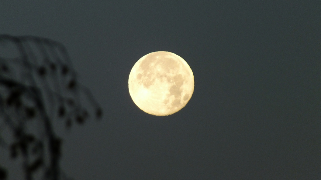    Victor Lisitsyn/Globallookpress