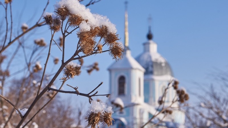 Фото: @andrei_zhigaltsov / freepik.com