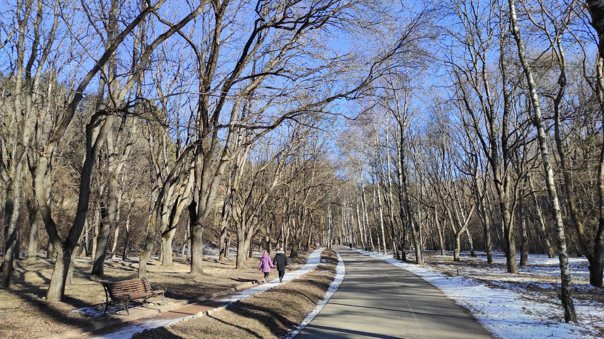 Сибирякам сложно осознавать, что это начало февраля. Фото: Кирилл Полиенко/Polienko: путешествуем вдвоём