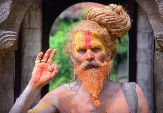 Индийский брахман с типичным рязанским фейсом