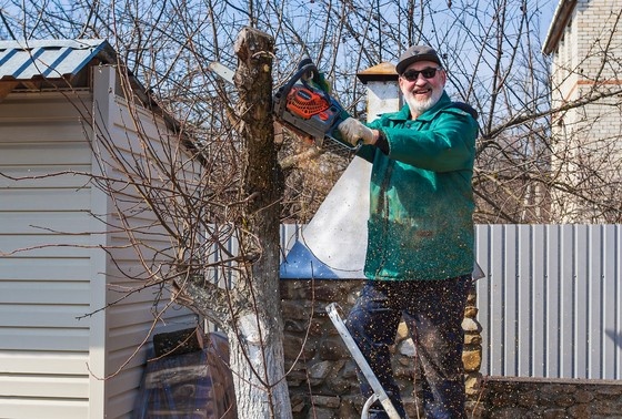    Shutterstock/FOTODOM