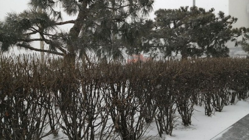     Источник: vostokmedia.com