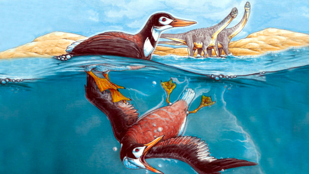 Вообще-то вегавис был вполне себе водоплавающим.