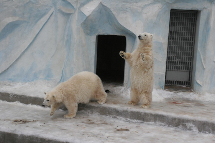    Фото из архива VN.ru