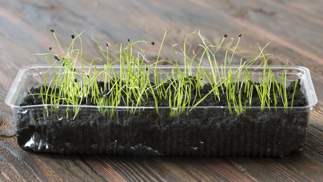    Фото: Nikolay Gyngazov/Global Look Press