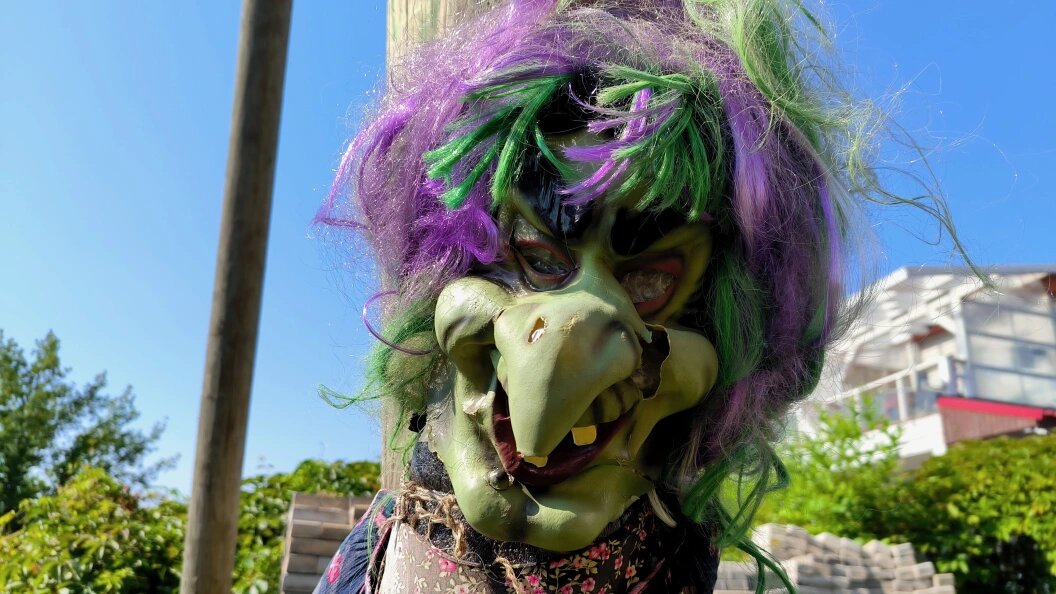    Фото: Maksim Konstantinov/Globallookpress