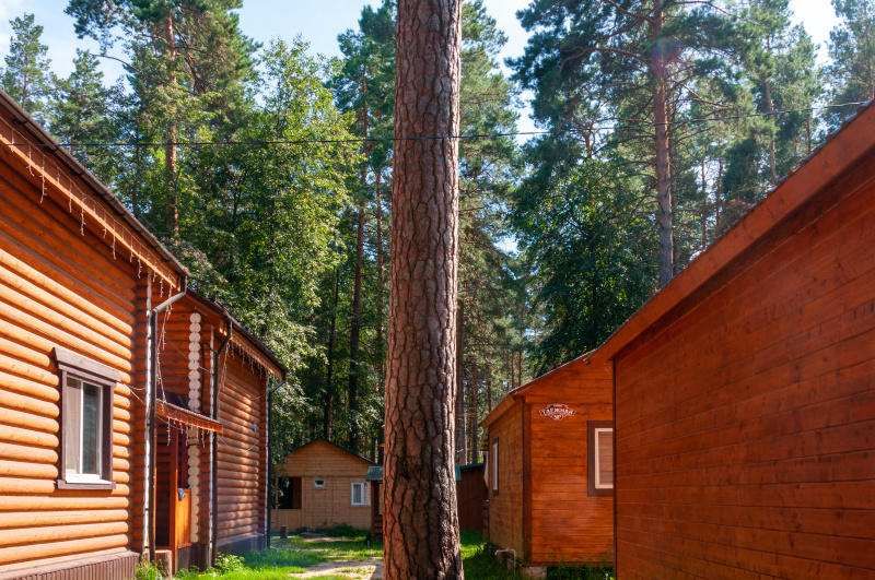    Фото: Svetlana Vozmilova/Globallookpress