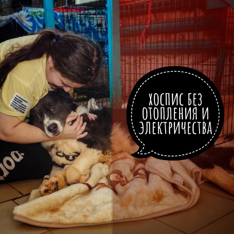 Нам бы только продержаться до весны... ДЕНЬ СТО!