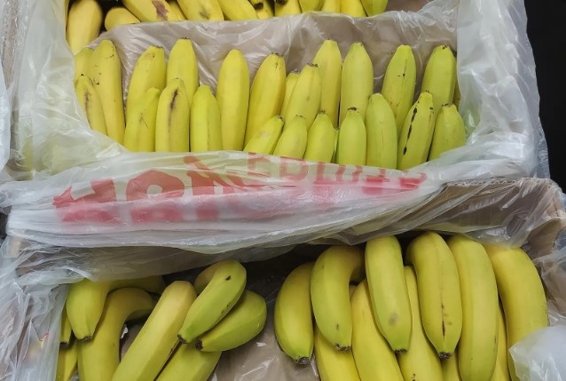 Взято из открытых источников сети Интернет