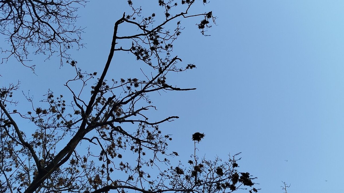    Фото: телеканал «Краснодар»