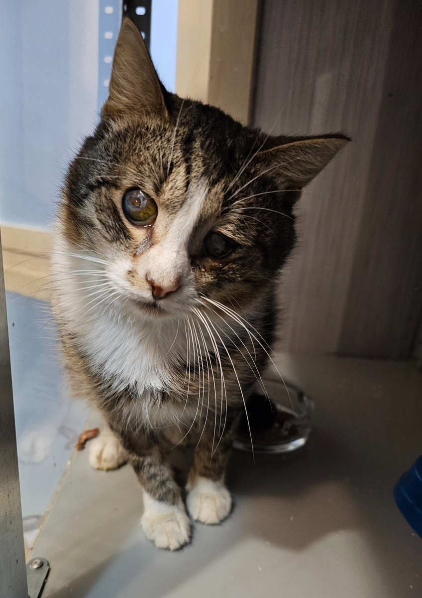 Фото автора. Арашик.