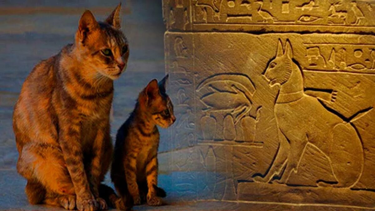 Источник:https://clck.ru/3GNUEk