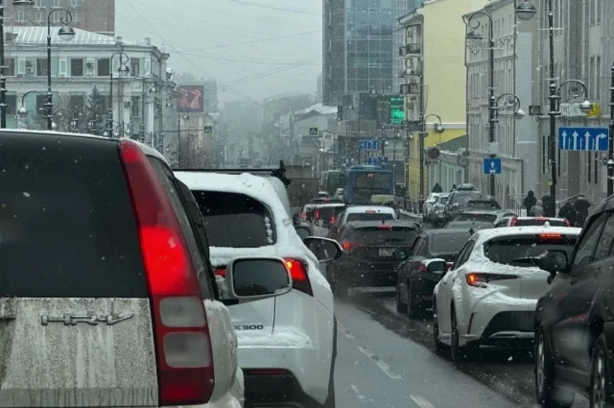    В 2024 году сотрудники таможенной службы провели 248 проверок, связанных с занижением стоимости ввезённых автомобилей