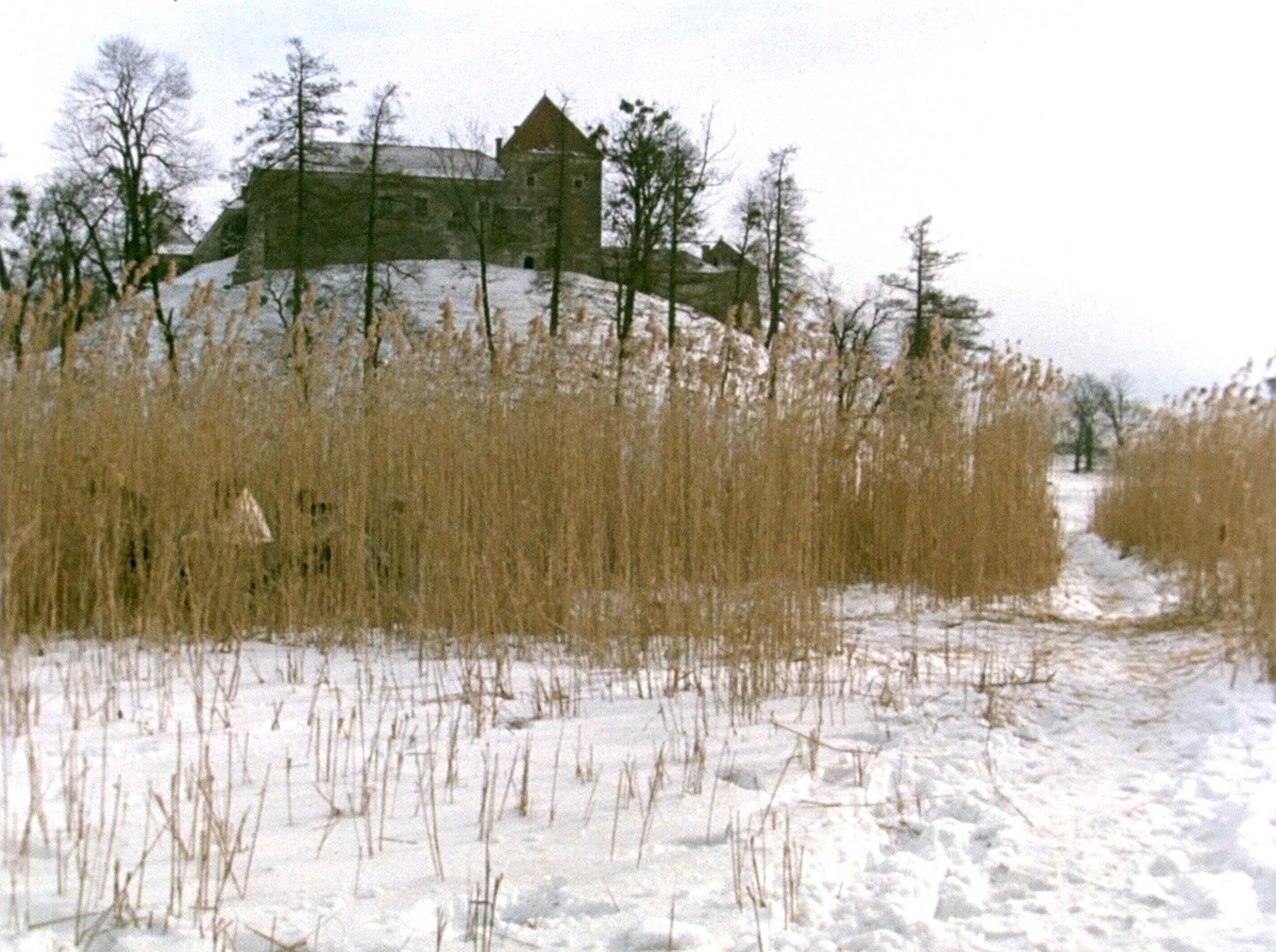 Кадр из к/ф «Дикая охота короля Стаха».