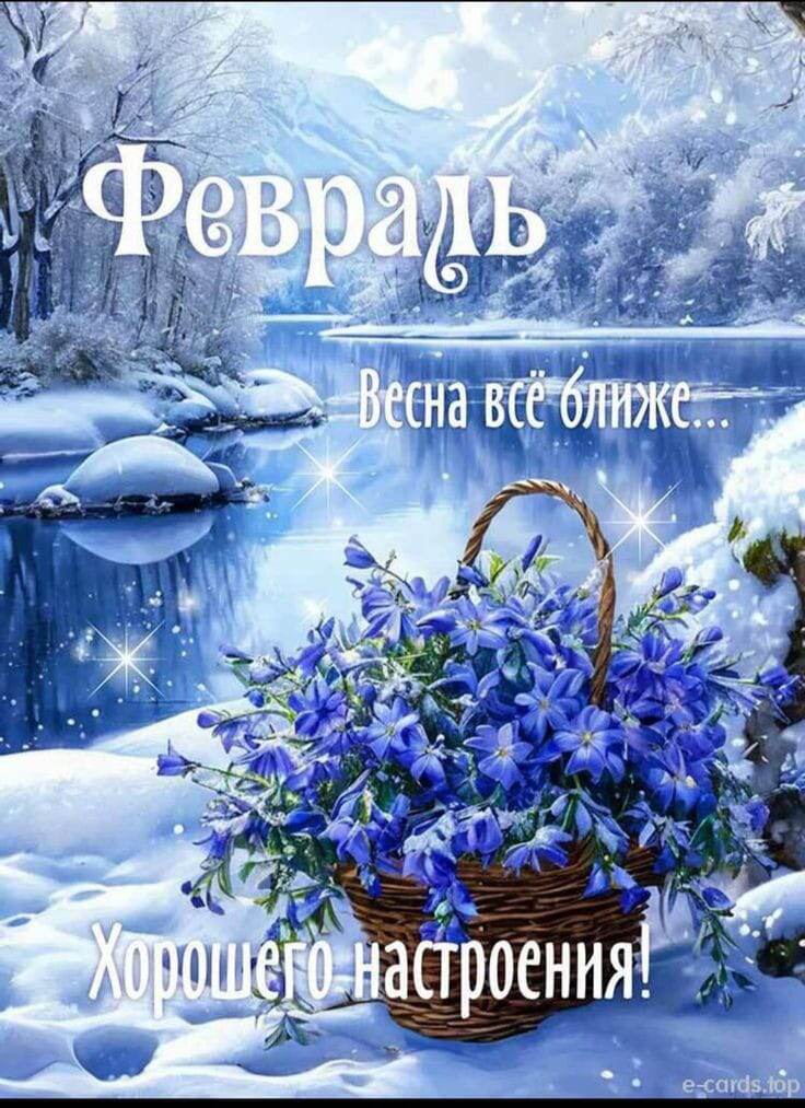 Корзина с цветами