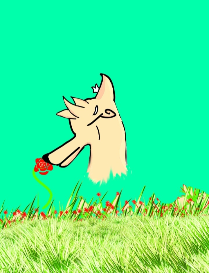 -2