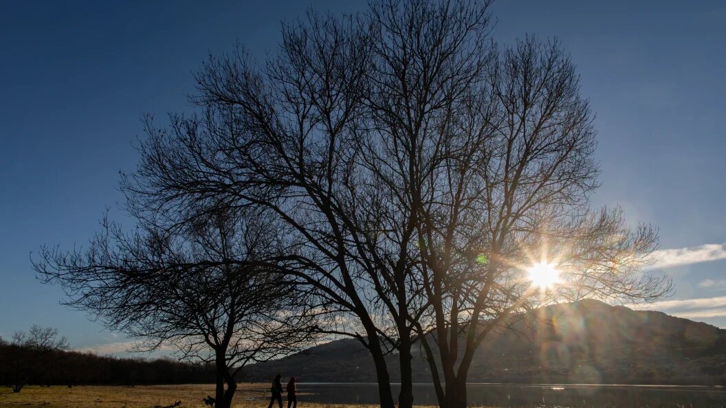    Фото: Rafael Bastante/Globallookpress