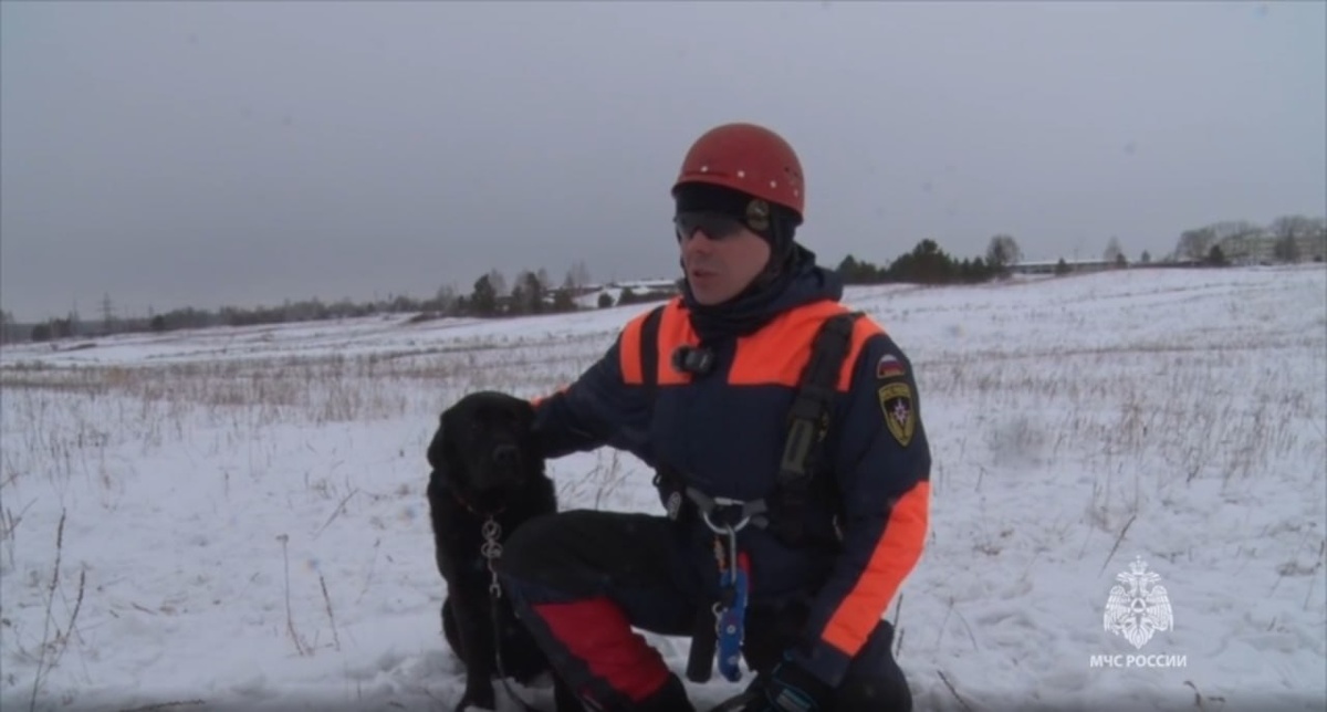     Пес-десантник помогает в работе красноярским спасателям