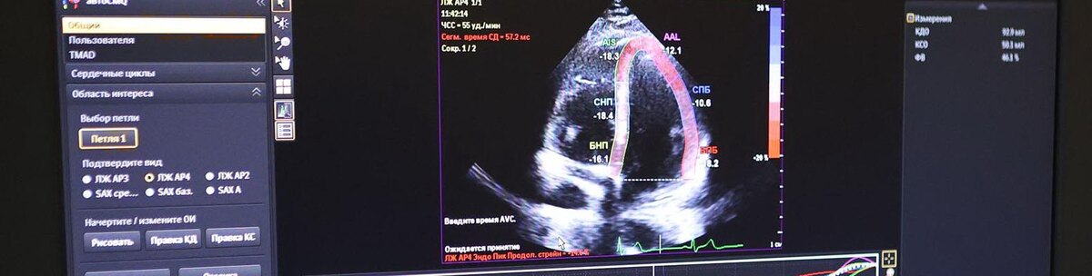    Фото: Антон Вергун