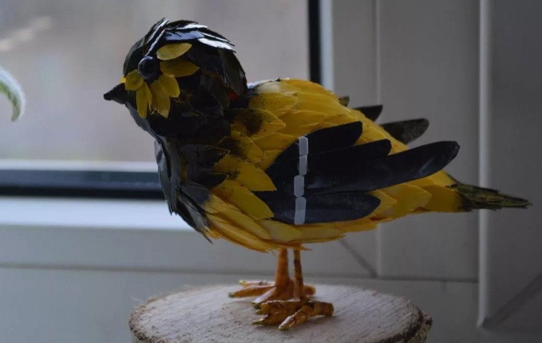 Как сделать птицу своими руками: Пошаговое руководство