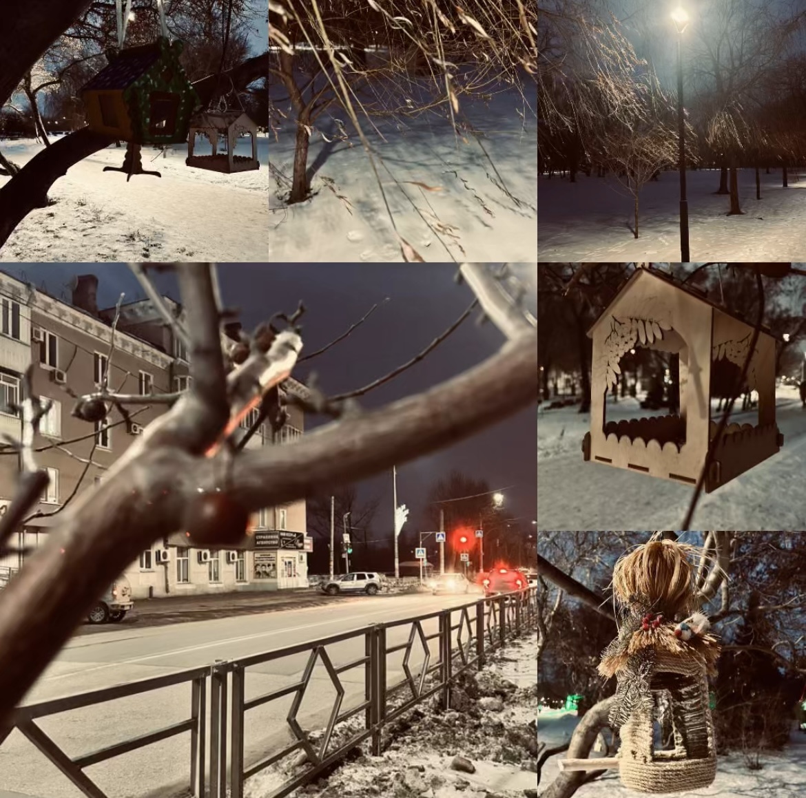 Коллаж автора канала. Скворечники в нашем парке. Делали детки🙏.