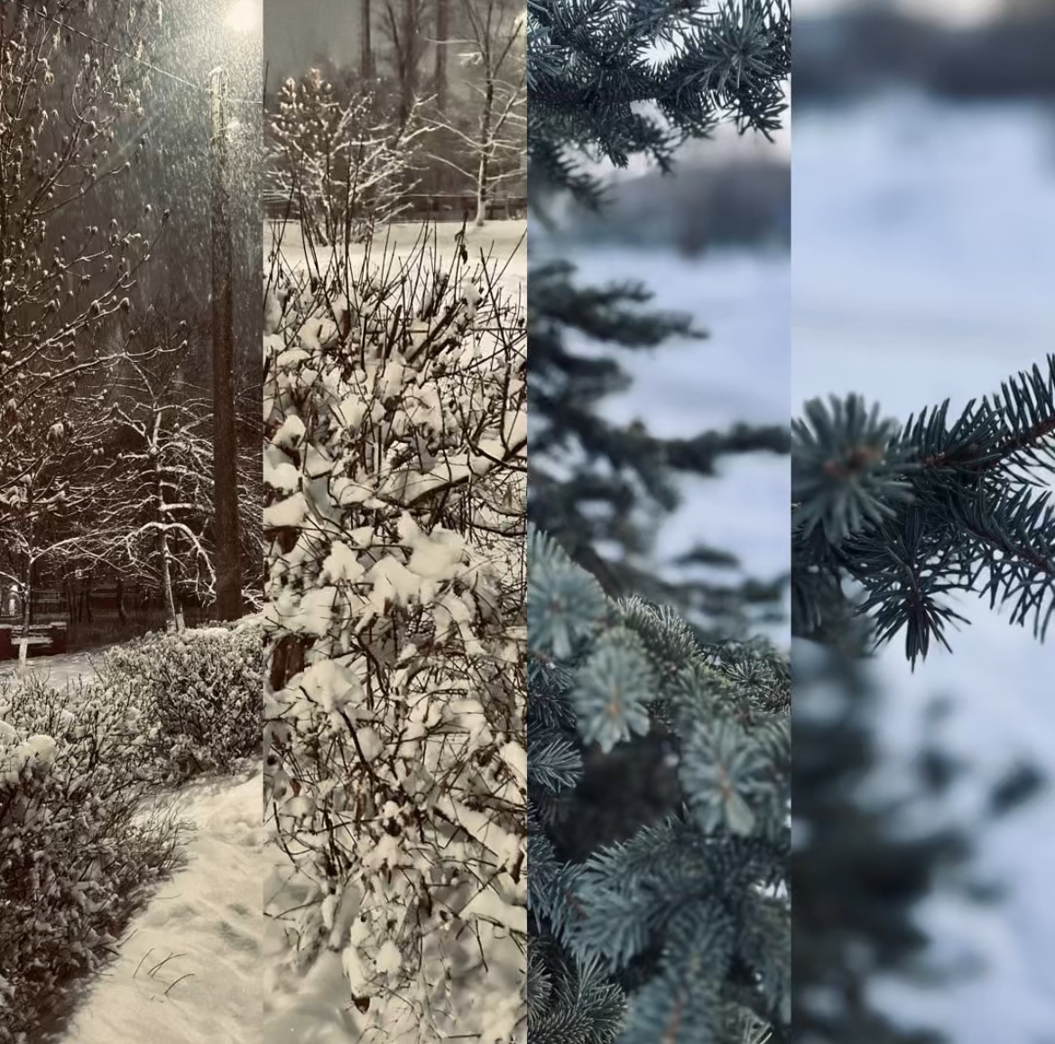 Коллаж автора канала.