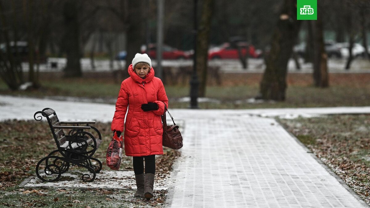    Фото: РИА Новости © 2025, Владимир Астапкович