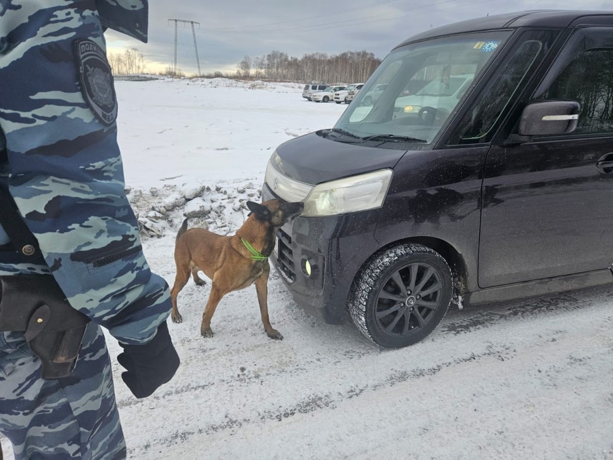 Фото: УМВД по Камчатскому краю